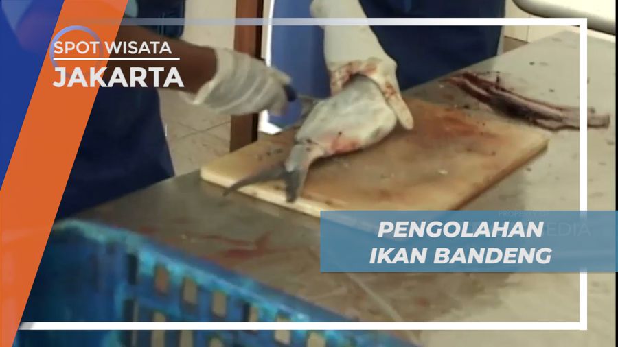 Mengunjungi Tempat Pengolahan Cabut Duri Ikan Bandeng, Jakarta