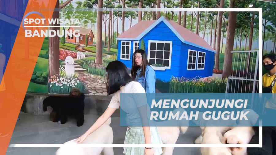 Mengunjungi Destinasi Wisata Surganya Para Pecinta Anjing, Bandung