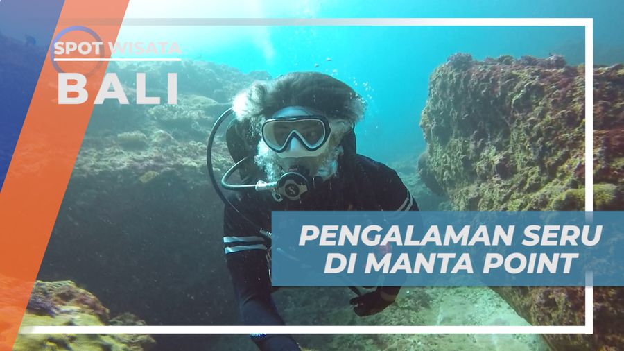 Menikmati Keseruan Menyelami Bawah Laut di Spot Manta Point, Nusa Penida, Bali