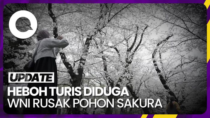 Pesan Kemenparekraf Terkait WNI Diduga Rusak Sakura di Jepang