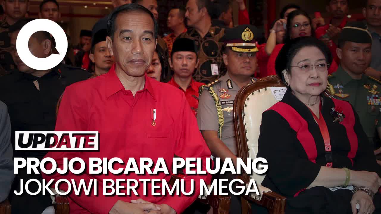 Ketum Projo Bicara Soal Peluang Pertemuan Jokowi-Megawati