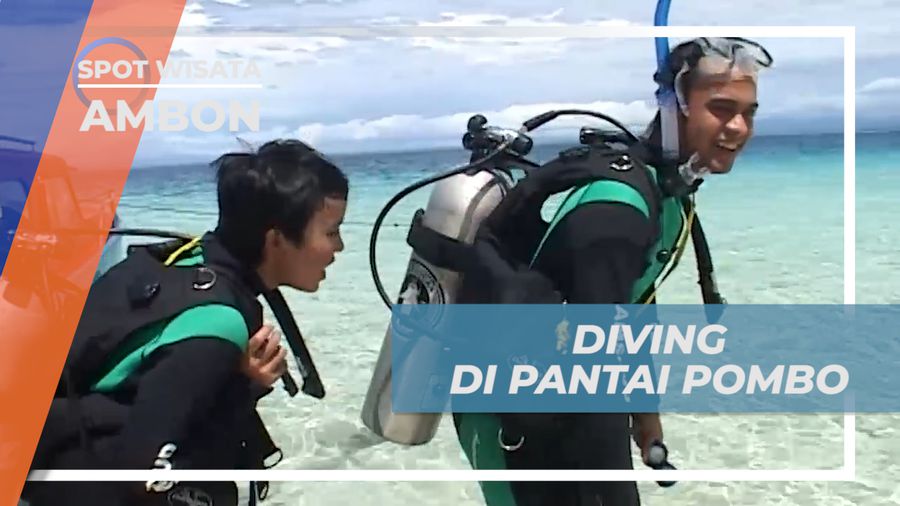 Menjelajahi Kehidupan Bawah Laut Pantai Pombo yang Mempesona, Ambon