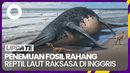 Penampakan Fosil Reptil Laut Raksasa yang Ditemukan Seorang Gadis di Inggris