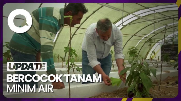 Alternatif Bercocok Tanam dengan Minim Air di Baghdad