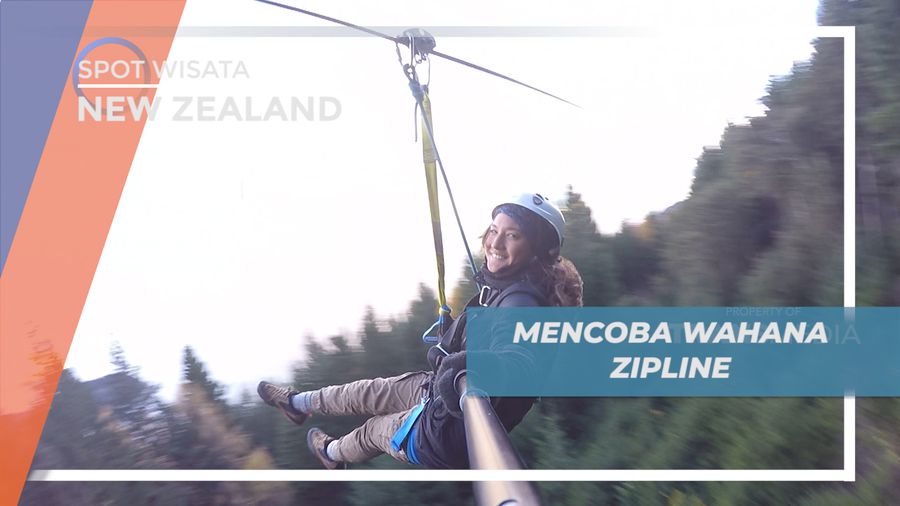 Sensasi Meluncur Seru Naik Wahana Zipline di Antara Pepohonan Pinus, New Zealand