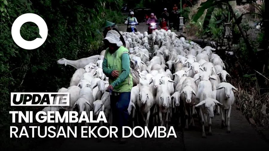 Viral Anggota TNI AD Pelihara 400 Ekor Domba di Ponorogo