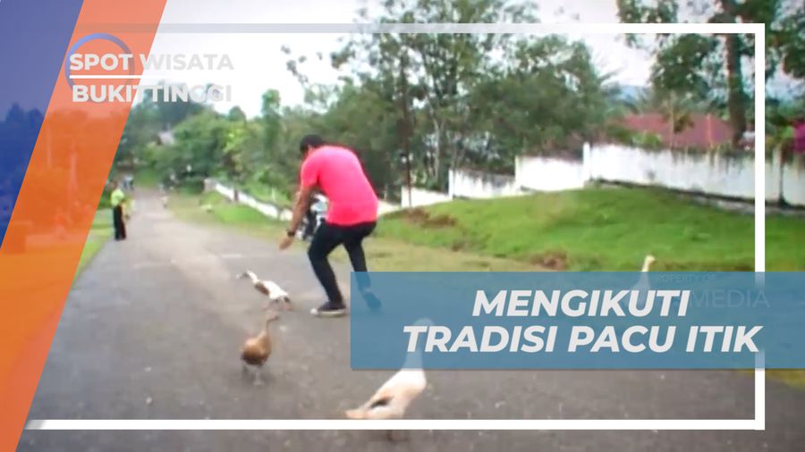 Menikmati Keseruan Mengikuti Tradisi Lomba Balap Pacu Itik, Bukittinggi