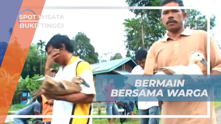 Berbagi Keseruan Bareng Warga Lokal, Lomba Balap Pacu Itik, Bukittinggi