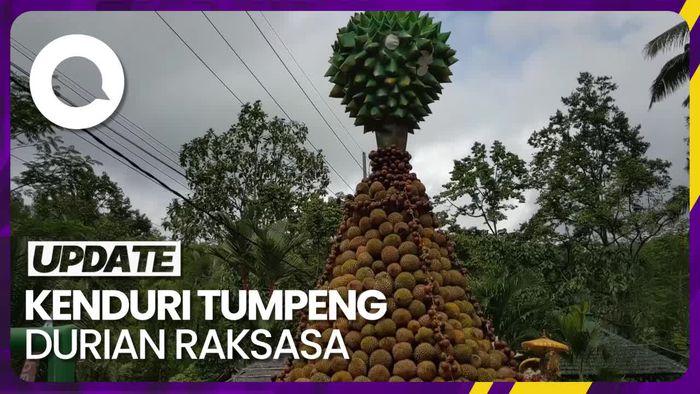 Melihat Kemeriahan Kenduri Tumpeng Durian Raksasa di Trenggalek
