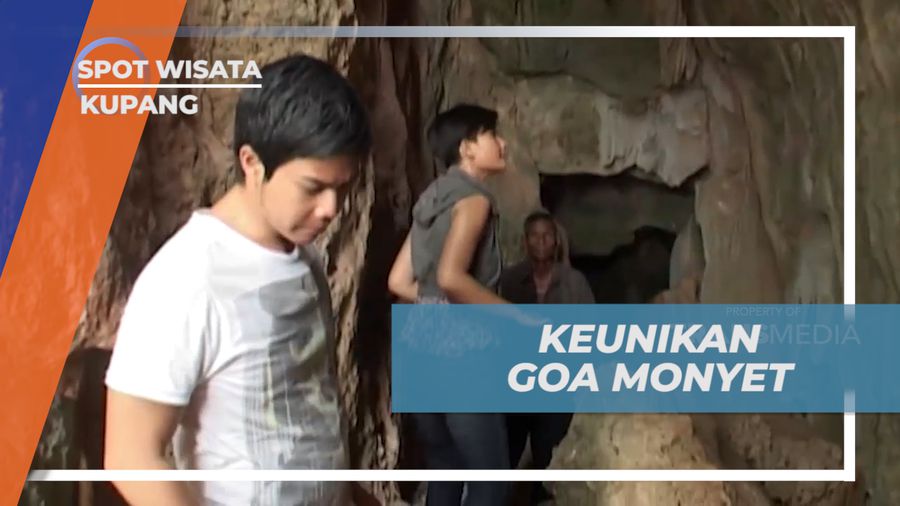 Mengisi Liburan Mengunjungi Destinasi Wisata Goa Monyet, Kupang