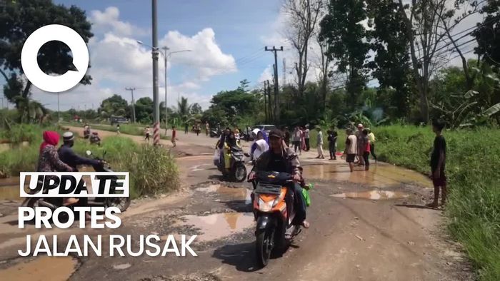 Aksi Protes Warga Lampung Ramai-ramai Tebar Lele di Kubangan Jalan Rusak