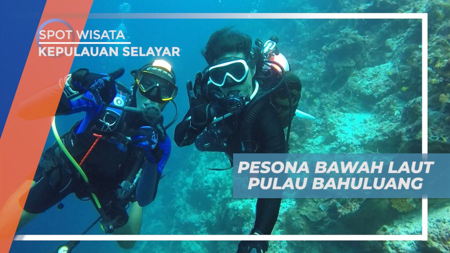 Menjelahai Keindahan Surga Bawah Laut Pulau Bahuluang, Kepulauan Selayar