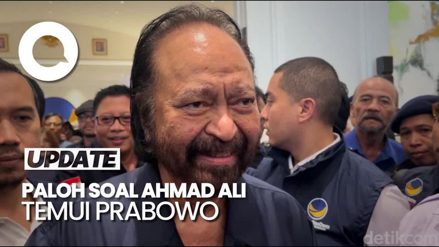 Ahmad Ali Temui Prabowo-Dasco, Paloh: Barangkali Pilkada