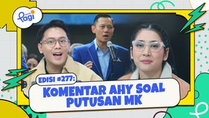 Komentar AHY Soal Putusan MK 