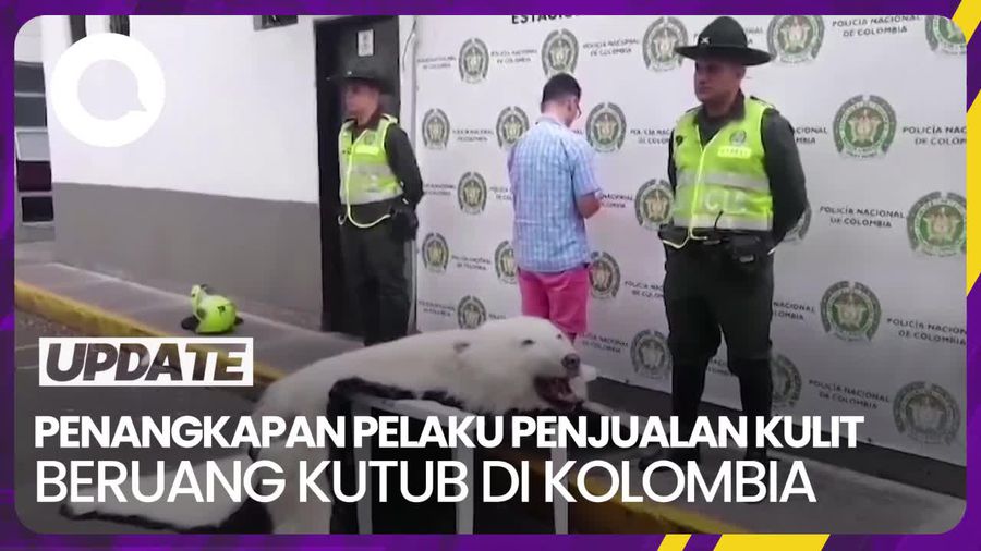 Penampakan Barang Bukti Kasus Penjualan Kulit Beruang Kutub di Kolombia
