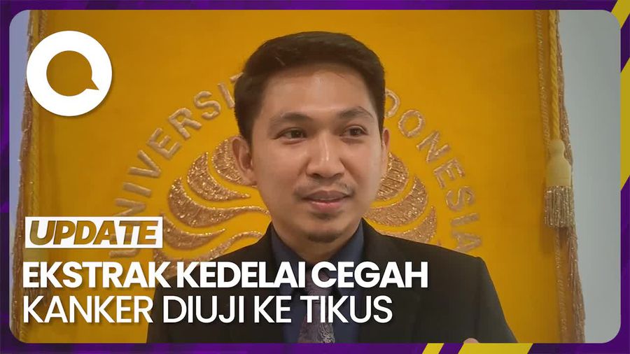 Alasan Tikus Jadi Hewan Coba di Riset Ekstrak Kedelai Cegah Kanker Payudara