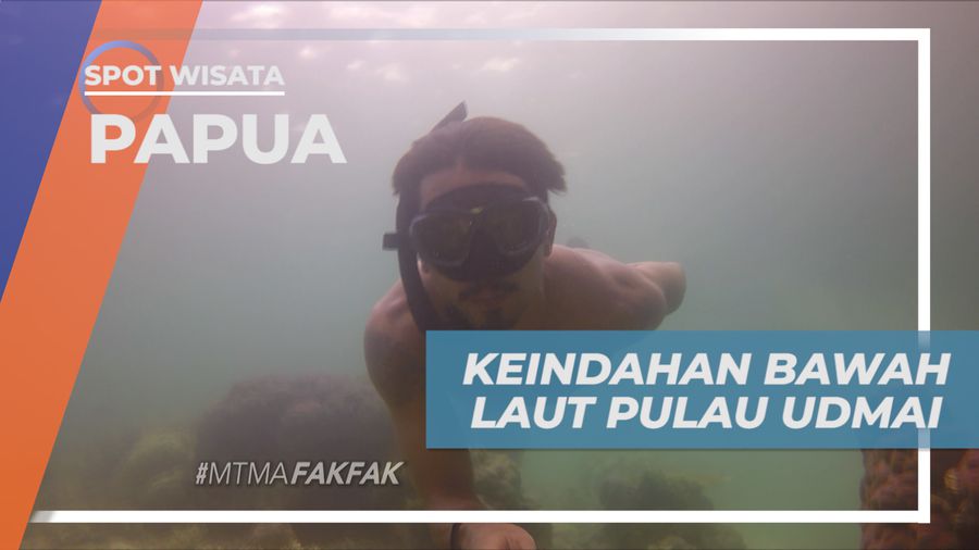 Mengeksplorasi Pesona Keindahan Surga Bawah Laut yang Mempesona, Papua Barat