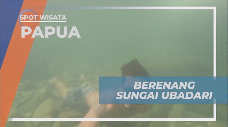 Menikmati Keseruan, Berenang Menjelajahi Bawah Sungai Ubadari, Papua Barat