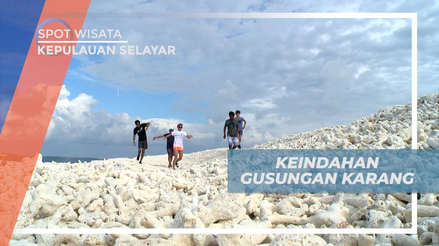Mengeksplorasi Keindahan Gusungan Karang di Pulau Bahuluang, Kepulauan Selayar