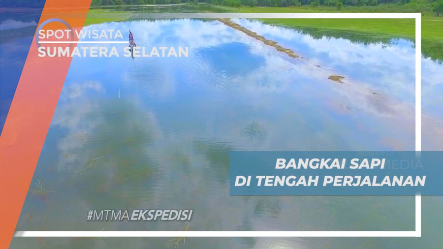 Berburu Buaya, Membelah Rawa-rawa Naik Perahu Sampan, Sumatera Selatan