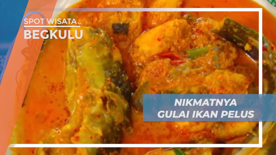Menyantap Lezatnya Kuliner Gulai Ikan Pelus Bercita Rasa Khas Bengkulu