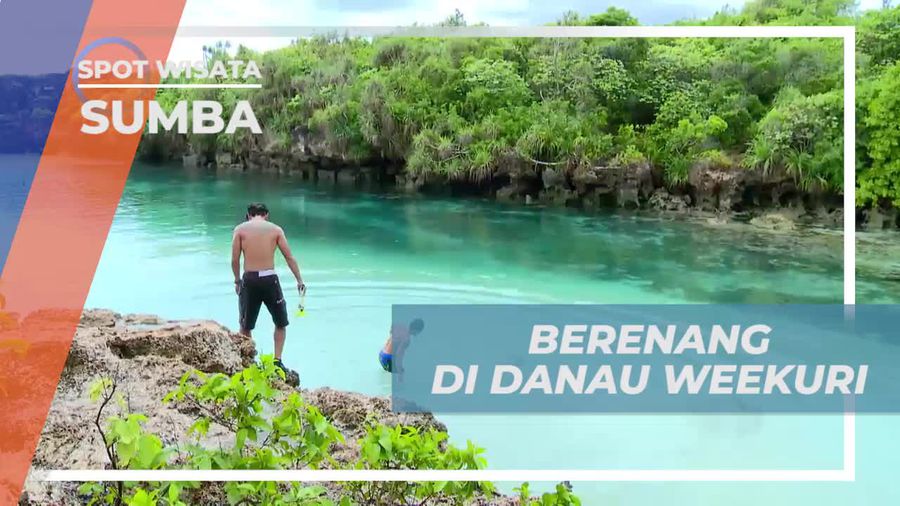 Berenang Menikmati Sensasi Segar Air Danau Weekuri Sumba