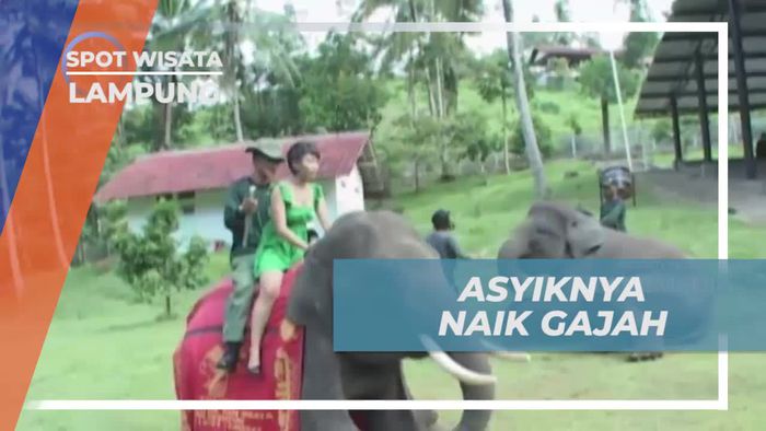 Mencoba Sensasi Seru Naik Gajah di Taman Wisata Bumi Kedaton Lampung
