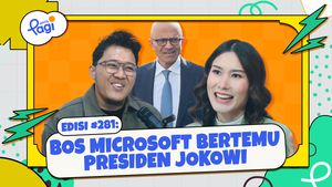 Bos Microsoft Bertemu Presiden Jokowi