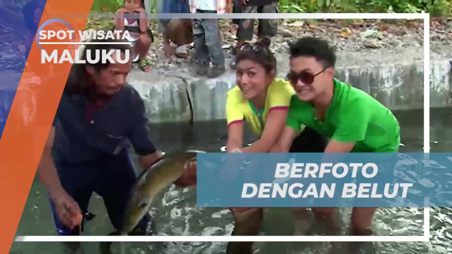 Mengabadikan Momen Berfoto Dengan Belut Raksasa di Desa Wai Maluku