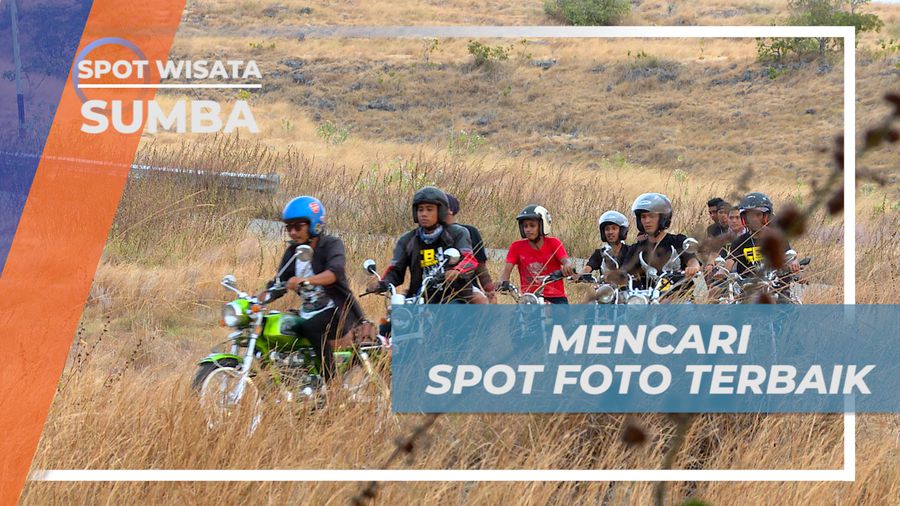 Berburu Spot Foto Terbaik di Padang Savana Puru Kambera, Sumba