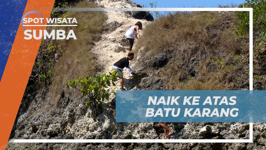 Memanjat Bukit Karang Pantai Kerewei, Berburu Spot Foto Terbaik, Sumba