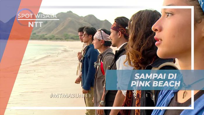 Menikmati Keindahan Pink Beach di Timur Nusa Tenggara