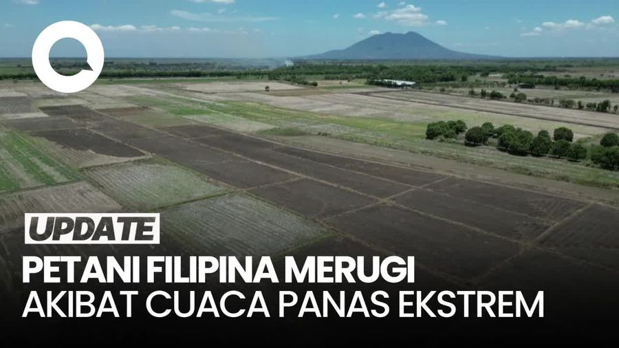 Keluhan Petani Filipina yang Merugi Akibat Diterpa Panas Ekstrem