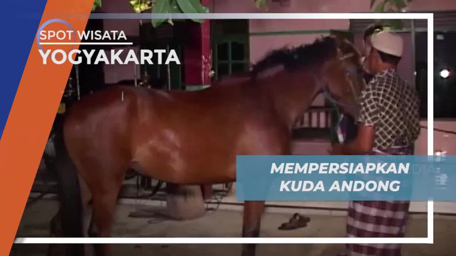 Memijat dan Membersihkan Kuda, Persiapan Menarik Andong di Yogyakarta