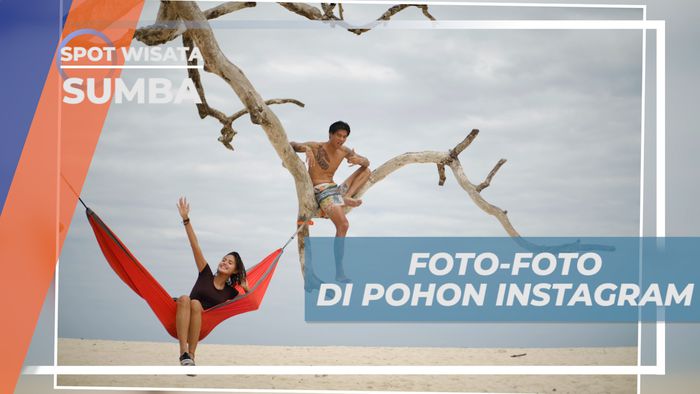 Abadikan Momen Seru di Pohon Instagram Pantai Tarimbang, Sumba
