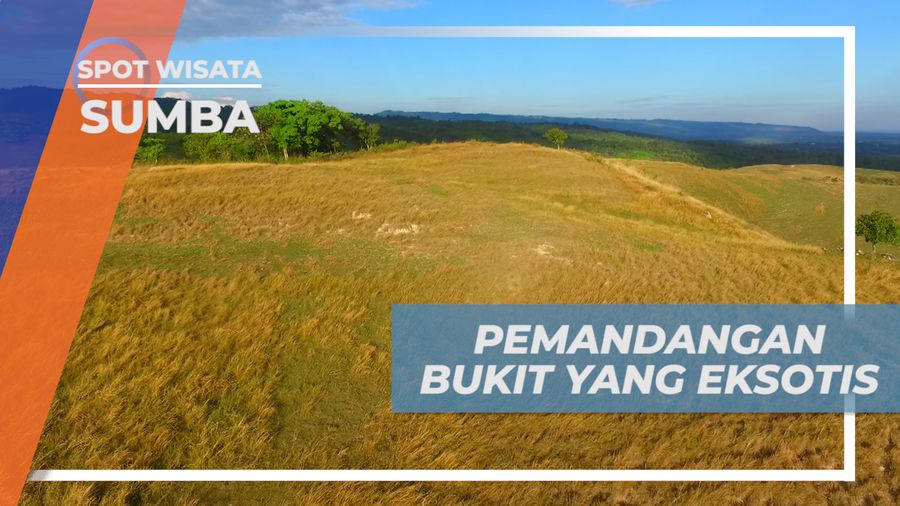 Menikmati Perhiasan Alam Bukit Lendongara yang Menawan, Sumba