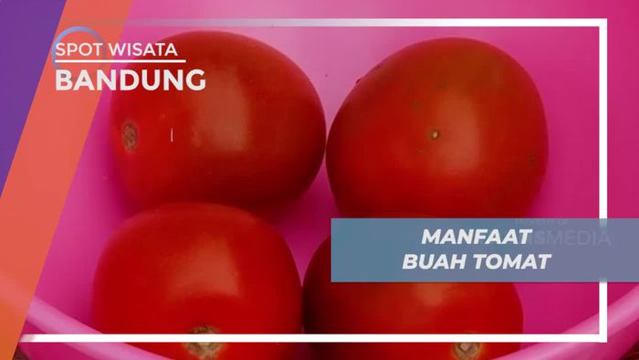 Mengenal Aneka Manfaat Sehat Buah Tomat, Bandung       