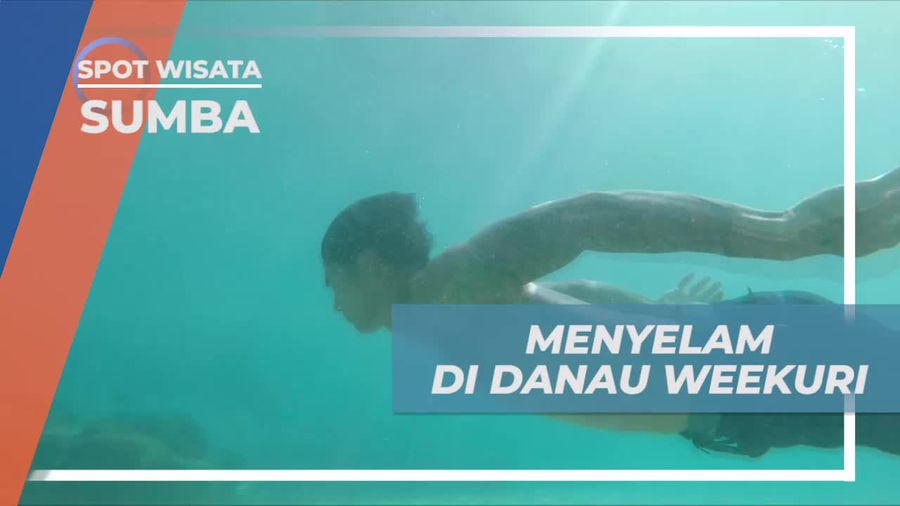 Menjelajahi Keindahan Bawah Air Danau Weekuri yang Super Jernih, Sumba