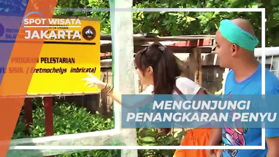 Mengisi Liburan Seru, Mengunjungi Penangkaran Penyu di Pulau Pramuka, Jakarta