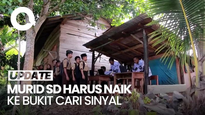 Cerita Murid SD di Lampung Harus Naik Bukit Demi Sinyal Internet untuk Belajar