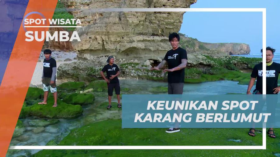 Pantai Bawanna, Mengeksplorasi Keunikan Spot Karang Berlumut, Sumba