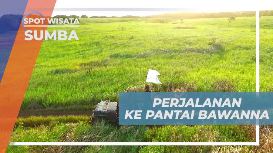 Menikmati Indahnya Hamparan Padang Rumput Menuju Pantai Bawanna, Sumba