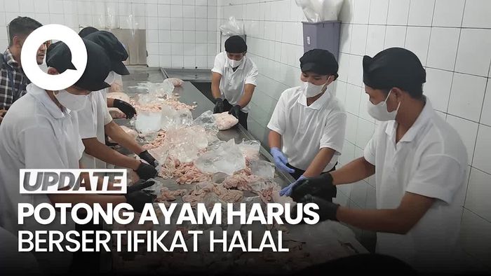 Zulhas: Oktober, Pemotongan Ayam Harus Ada Sertifikat Halal