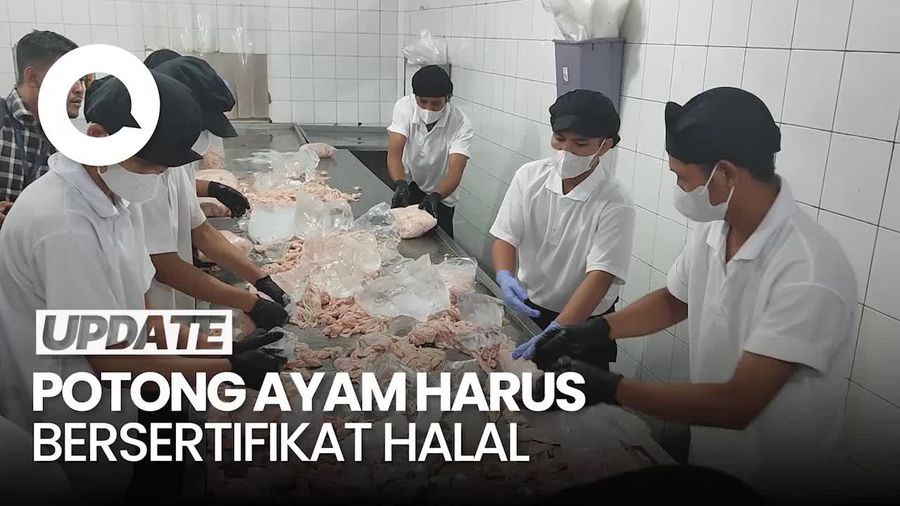 Zulhas: Oktober, Pemotongan Ayam Harus Ada Sertifikat Halal