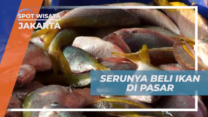 Tawar Menawar Harga, Membeli Ikan Segar Langsung di Pusatnya, Jakarta
