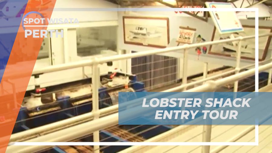 Menjelajahi Tiap Sudut Tempat Pengolahan Lobster di Tepi Pantai Cervantes, Perth