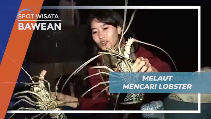 Momen Berburu Lobster Saat Matahari Terbenam di Bawean           