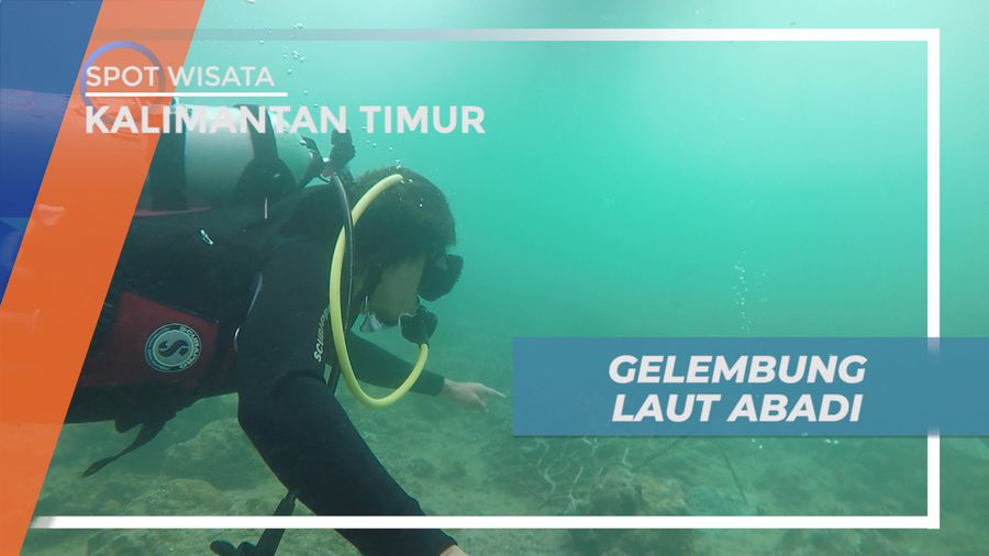 Melihat dari Dekat, Uniknya Gelembung Abadi di Dasar Laut, Kalimantan Timur