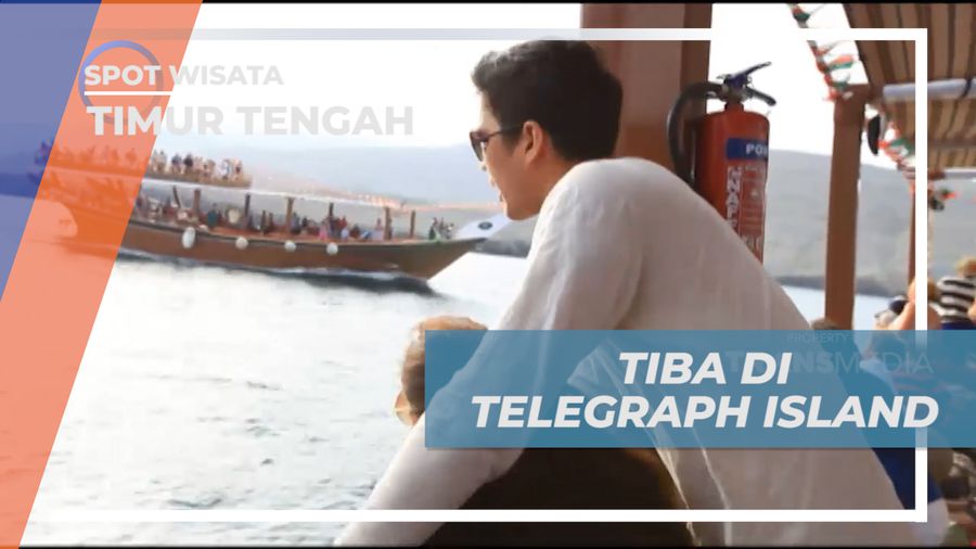 Pengalaman Seru, Melihat Lumba-lumba di Perairan Telegraph Island, Timur Tengah