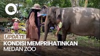 Menparekraf Ingatkan Jangan Sampai Satwa di Medan Zoo Mati Karena Kurang Pakan